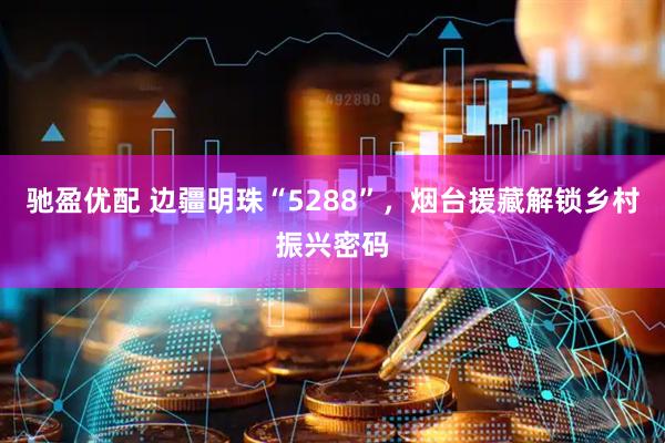 驰盈优配 边疆明珠“5288”，烟台援藏解锁乡村振兴密码