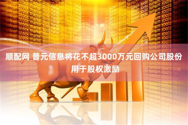 顺配网 普元信息将花不超3000万元回购公司股份 用于股权激励
