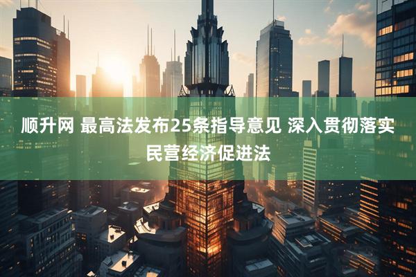 顺升网 最高法发布25条指导意见 深入贯彻落实民营经济促进法